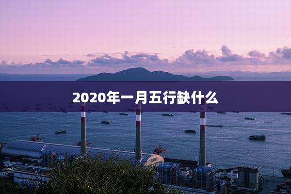2020年一月五行缺什么