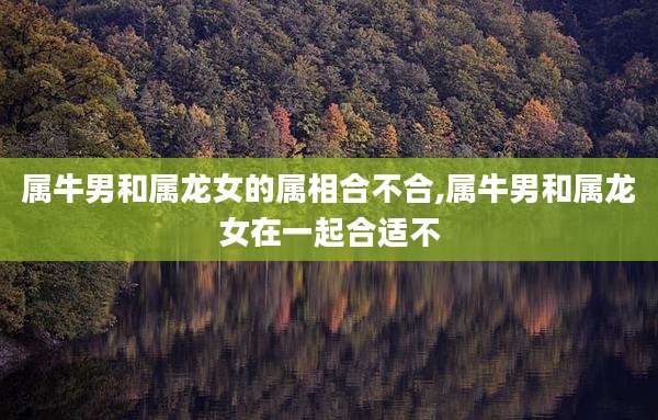 属牛男和属龙女的属相合不合,属牛男和属龙女在一起合适不
