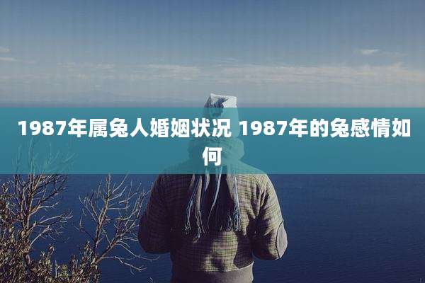 1987年属兔人婚姻状况 1987年的兔感情如何