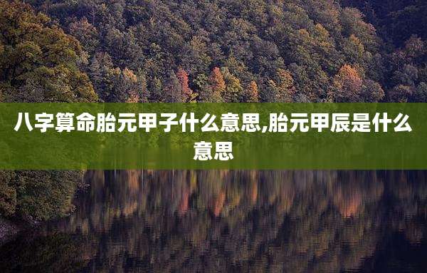 八字算命胎元甲子什么意思,胎元甲辰是什么意思