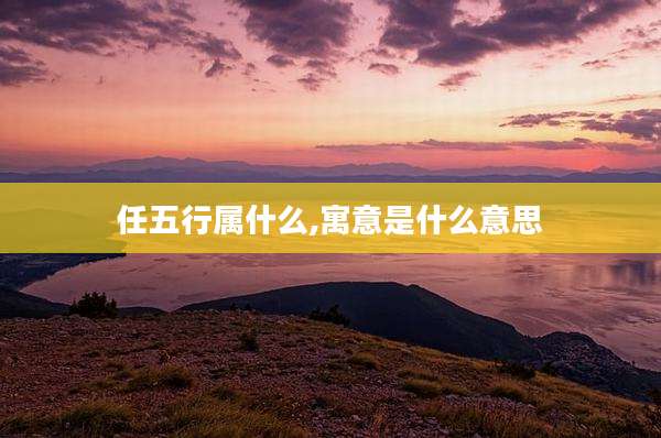任五行属什么,寓意是什么意思