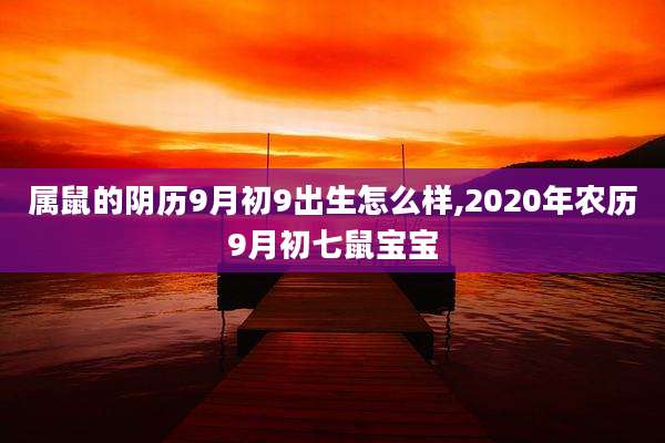 属鼠的阴历9月初9出生怎么样,2020年农历9月初七鼠宝宝