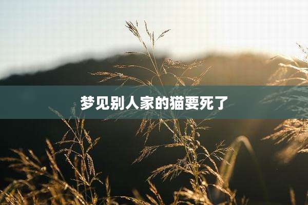 梦见别人家的猫要死了