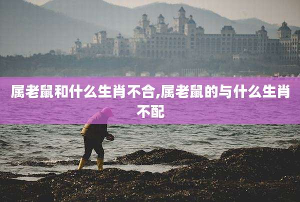 属老鼠和什么生肖不合,属老鼠的与什么生肖不配