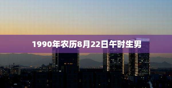 1990年农历8月22日午时生男