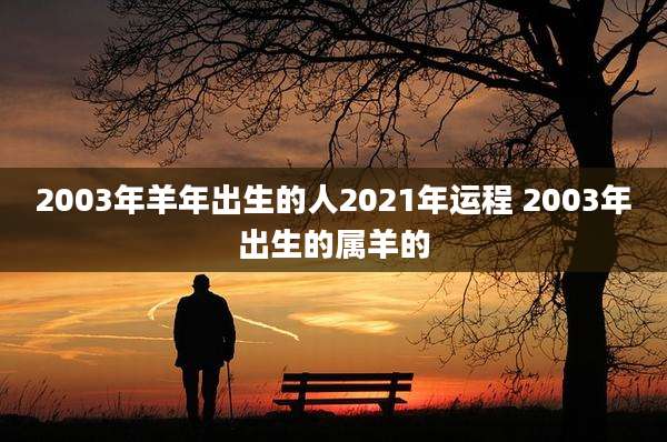 2003年羊年出生的人2021年运程 2003年出生的属羊的