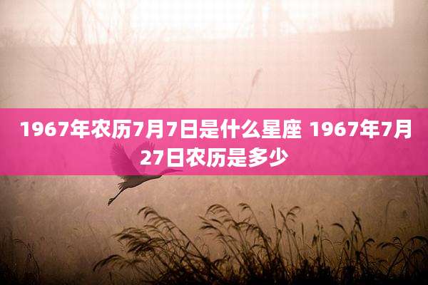 1967年农历7月7日是什么星座 1967年7月27日农历是多少
