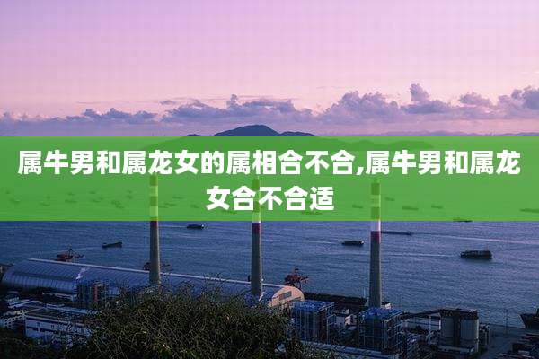 属牛男和属龙女的属相合不合,属牛男和属龙女合不合适