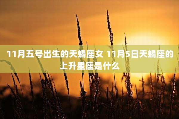 11月五号出生的天蝎座女 11月5日天蝎座的上升星座是什么
