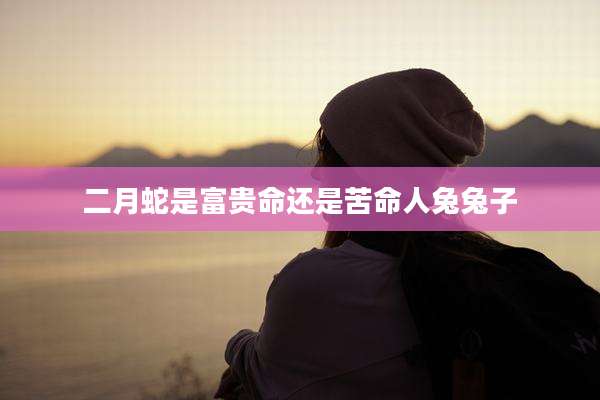 二月蛇是富贵命还是苦命人兔兔子