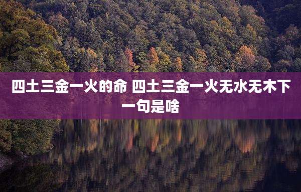 四土三金一火的命 四土三金一火无水无木下一句是啥