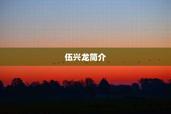 伍兴龙简介