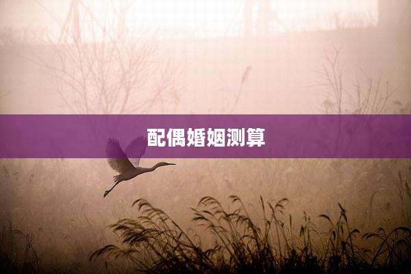 配偶婚姻测算