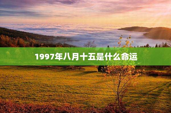 1997年八月十五是什么命运