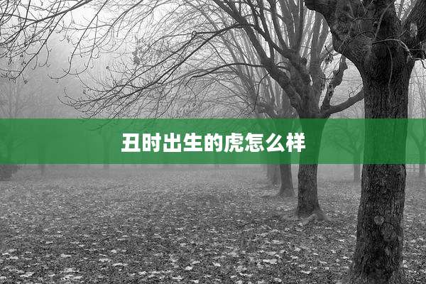 丑时出生的虎怎么样