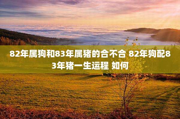 82年属狗和83年属猪的合不合 82年狗配83年猪一生运程 如何