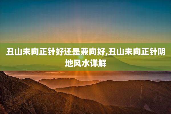 丑山未向正针好还是兼向好,丑山未向正针阴地风水详解