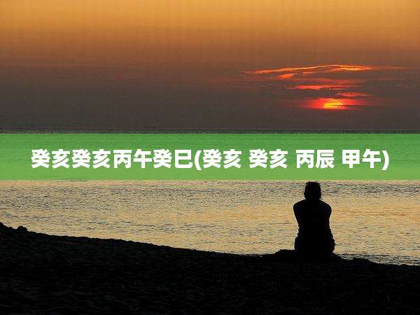 癸亥癸亥丙午癸巳(癸亥 癸亥 丙辰 甲午)