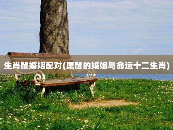 生肖鼠婚姻配对(属鼠的婚姻与命运十二生肖)