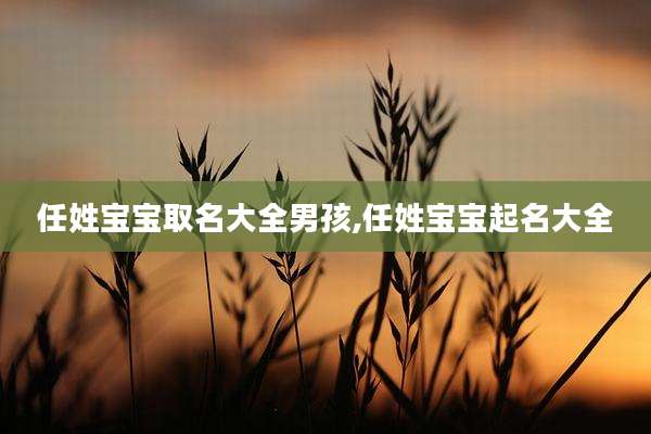 任姓宝宝取名大全男孩,任姓宝宝起名大全