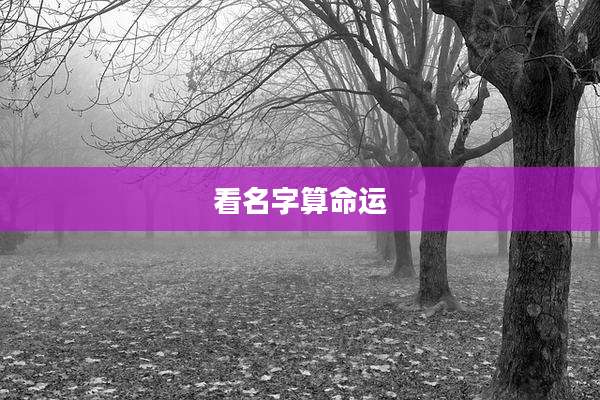 看名字算命运