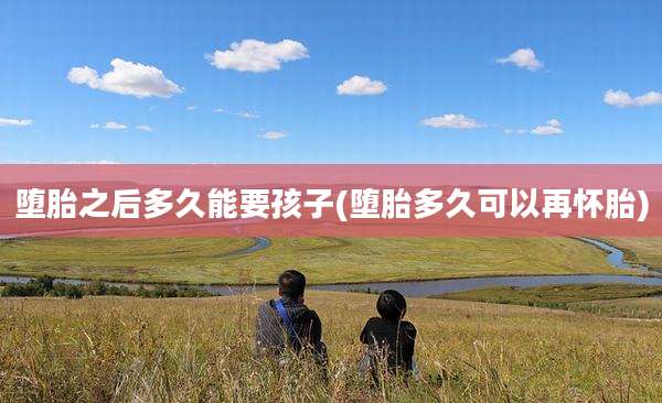 堕胎之后多久能要孩子(堕胎多久可以再怀胎)