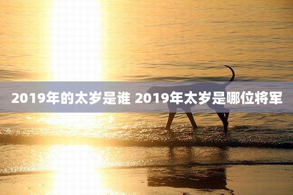 2019年的太岁是谁 2019年太岁是哪位将军