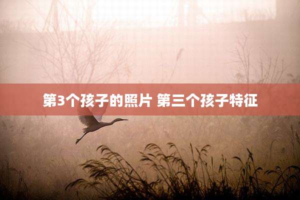 第3个孩子的照片 第三个孩子特征