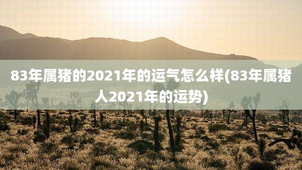 83年属猪的2021年的运气怎么样(83年属猪人2021年的运势)