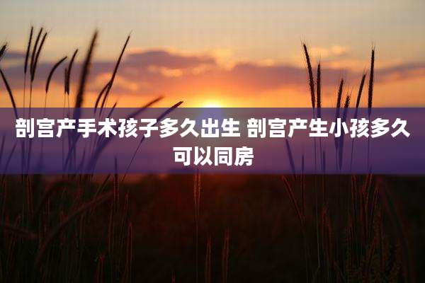 剖宫产手术孩子多久出生 剖宫产生小孩多久可以同房