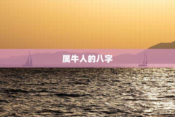 属牛人的八字
