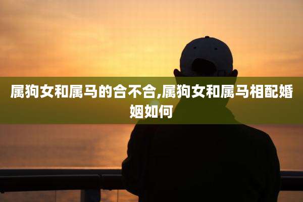 属狗女和属马的合不合,属狗女和属马相配婚姻如何