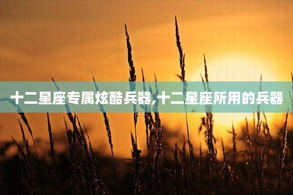 十二星座专属炫酷兵器,十二星座所用的兵器