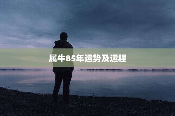 属牛85年运势及运程