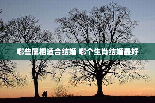 哪些属相适合结婚 哪个生肖结婚最好