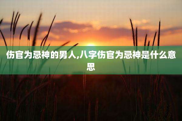 伤官为忌神的男人,八字伤官为忌神是什么意思