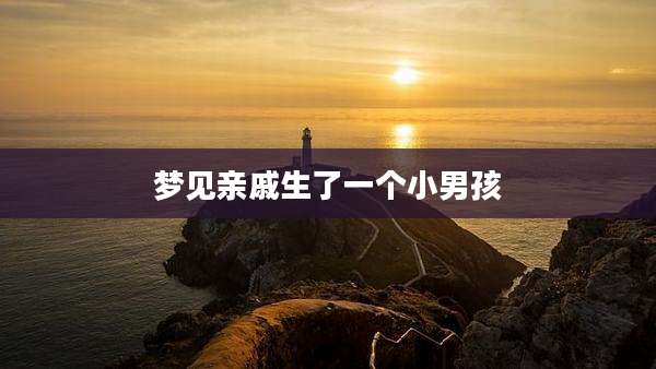 梦见亲戚生了一个小男孩
