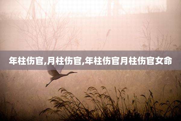 年柱伤官,月柱伤官,年柱伤官月柱伤官女命