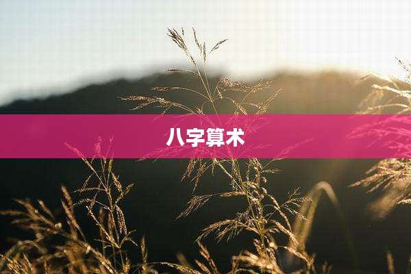 八字算术