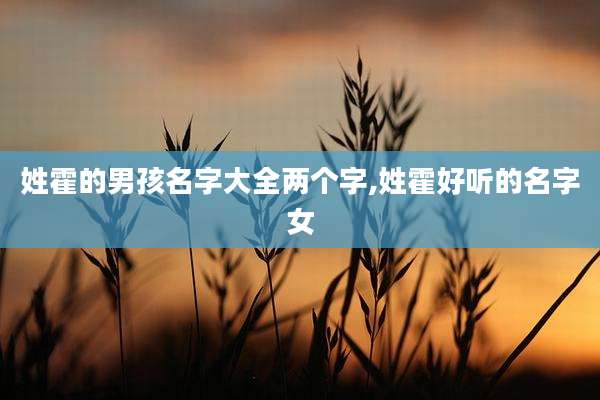 姓霍的男孩名字大全两个字,姓霍好听的名字女