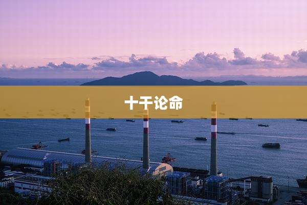 十干论命