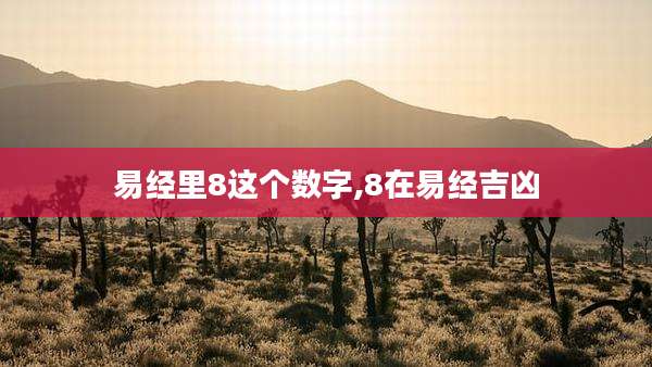 易经里8这个数字,8在易经吉凶