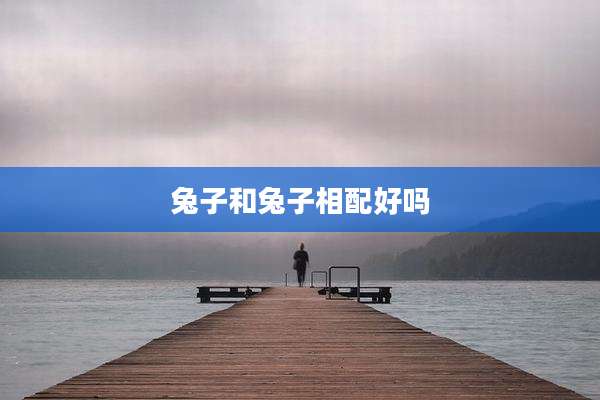 兔子和兔子相配好吗
