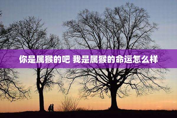 你是属猴的吧 我是属猴的命运怎么样