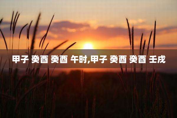 甲子 癸酉 癸酉 午时,甲子 癸酉 癸酉 壬戌