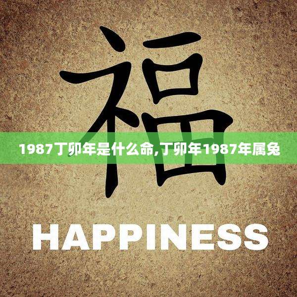 1987丁卯年是什么命,丁卯年1987年属兔