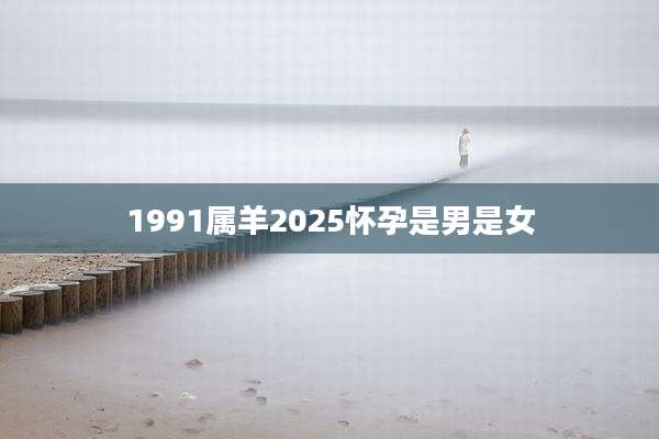 1991属羊2025怀孕是男是女