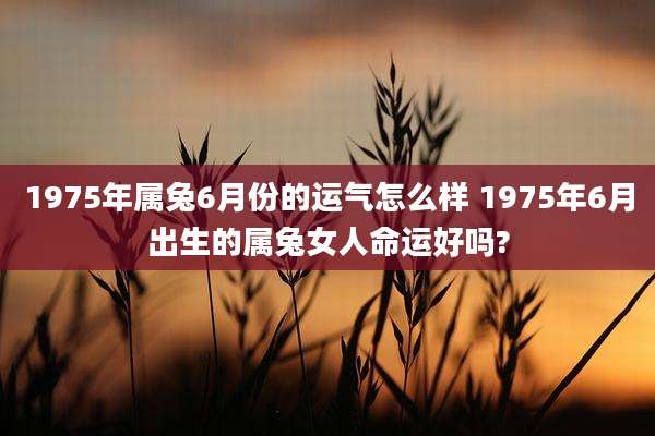 1975年属兔6月份的运气怎么样 1975年6月出生的属兔女人命运好吗?