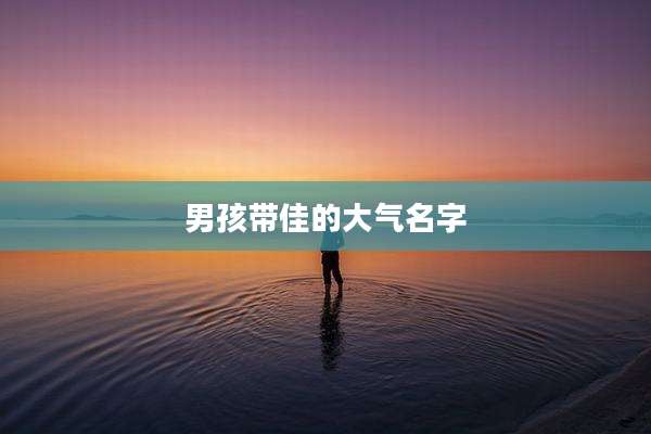 男孩带佳的大气名字