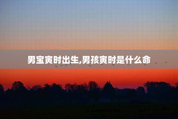 男宝寅时出生,男孩寅时是什么命